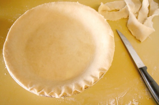 Basic Pie Crust Recipe How to (10)